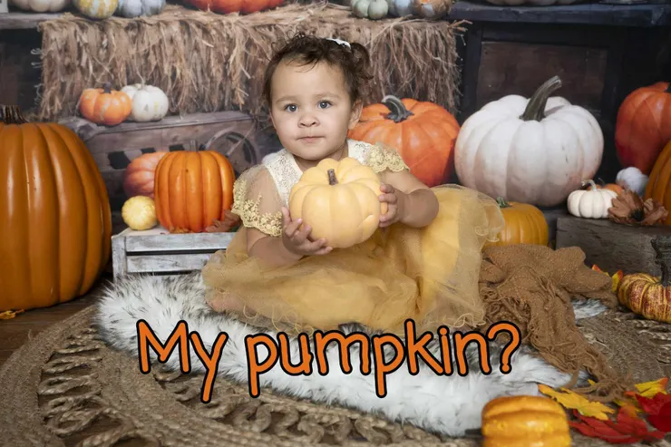 這一大堆南瓜真難選擇呀！