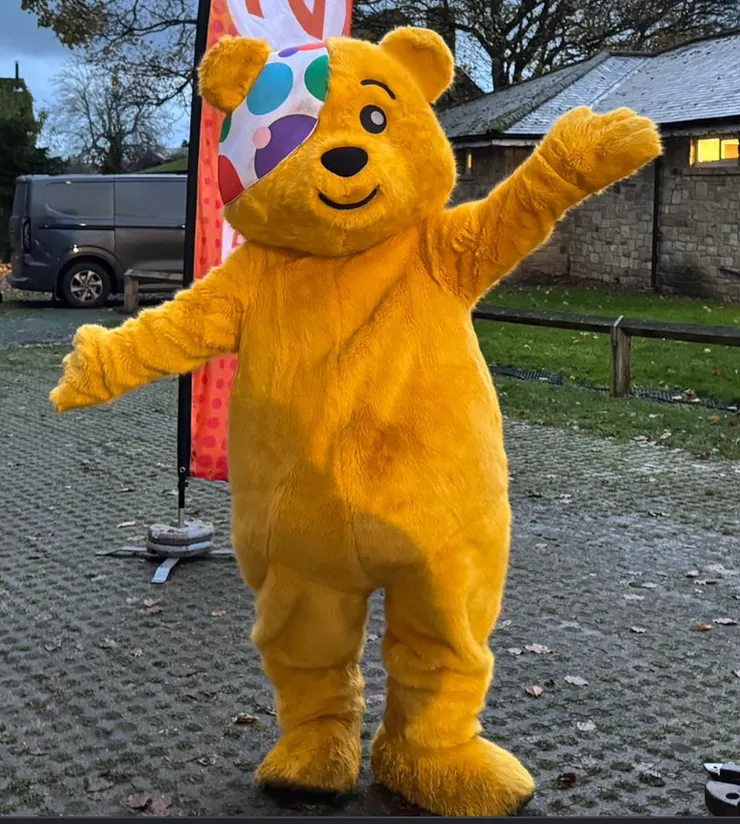 Pudsey bear