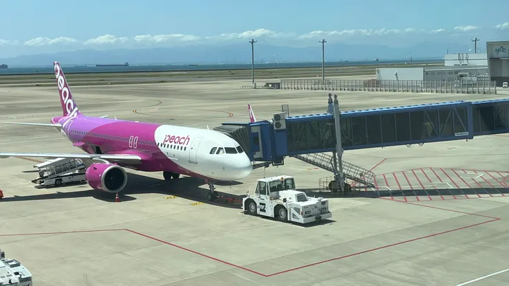 久違的搭乘樂桃了。