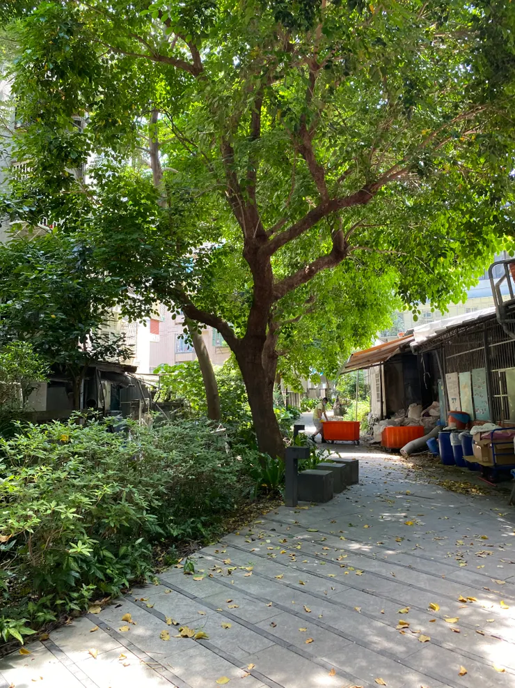 美麗的後巷需要居民共同維護