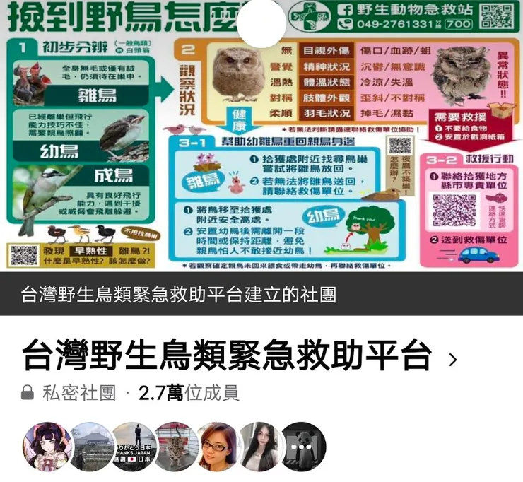 野鳥救助臉書社團
