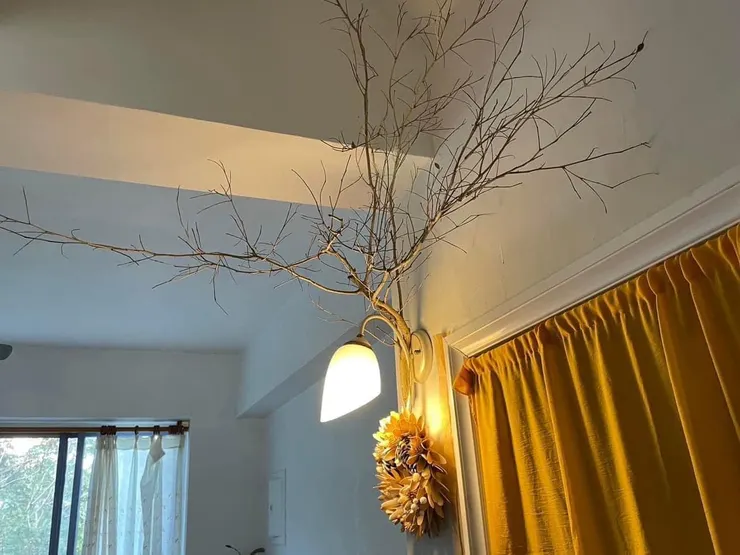 彷彿從起初就長在那裡一樣