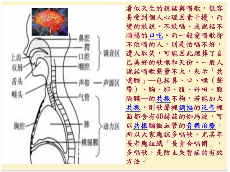 (圖面來源:人體共鳴器官)