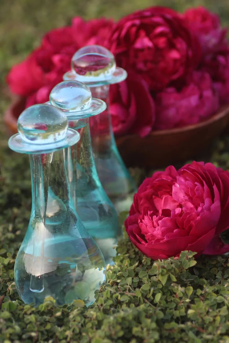 玫瑰純露 透過蒸餾玫瑰鮮花冷凝所得的芳香水