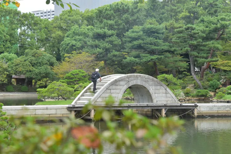 很多歐美來的阿公阿嬤很喜歡爬，但都差點摔下來有點怕