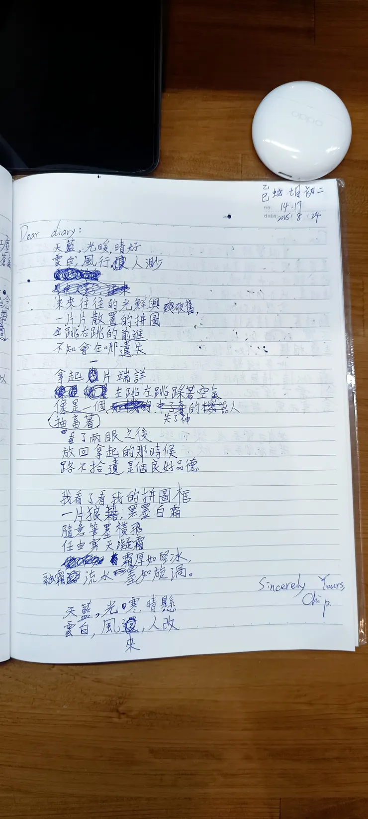 觀此世間如一片片拼圖，卻畫亂了我的拼圖板