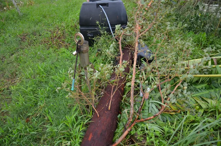 幾噸重的大樹倒下，剛好就砸在抽水馬達上