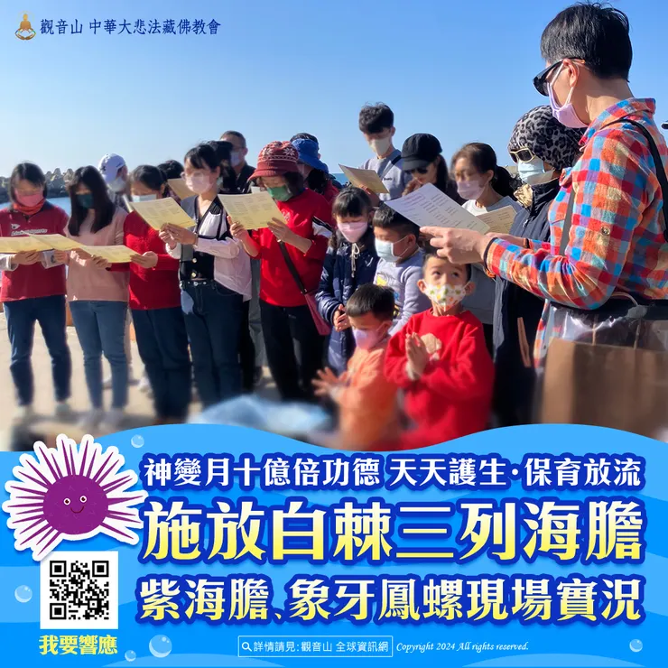 觀音山 神變月十億倍功德 天天護生‧保育放流 施放白棘三列海膽、紫海膽、象牙鳳螺現場實況