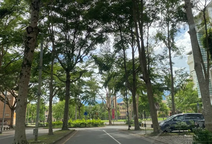 這是今年六月拍的照片,在東華大學的校園裡,我第一次把車開進去。