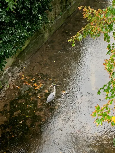 德國即將入冬了