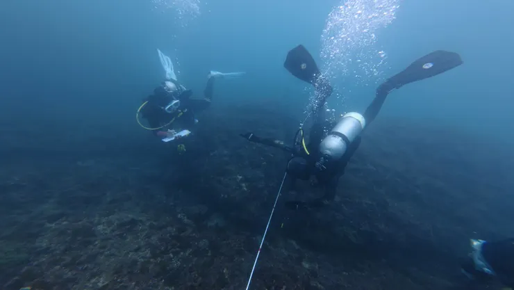 圖：和平島地質公園