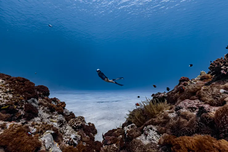 石朗潛水區高清無流，能夠拍出美麗的玻璃海。Photo by 阿得／@bboykent8263