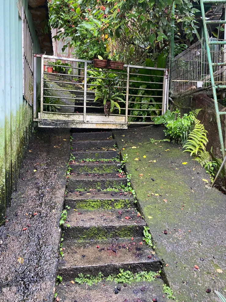 從階梯往上走幾步，即可看到山壁上刻著「屈尺道」字樣。