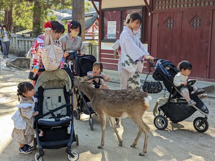 日本主婦的日常