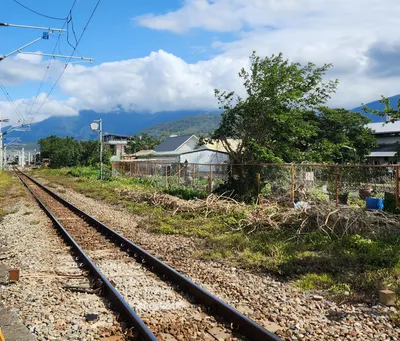 獨活男子的獨語