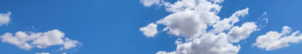 飄泊的云的沙龍