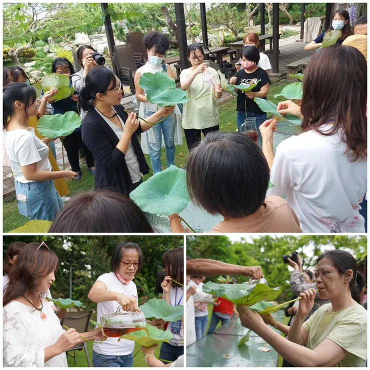 戶外場-碧筩杯體驗