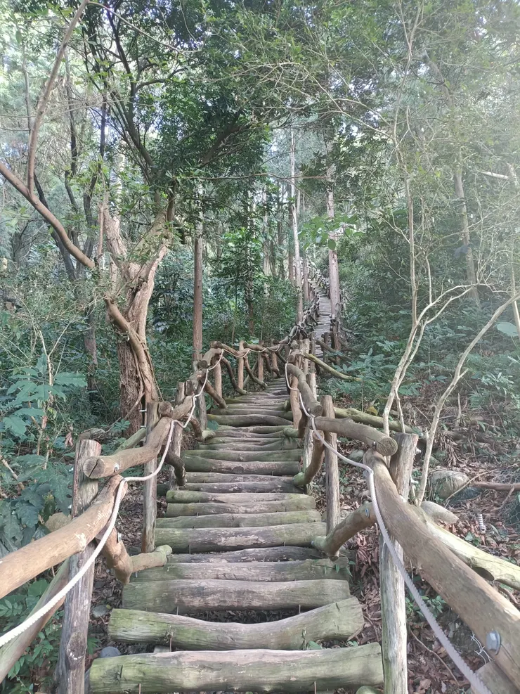 老實的踩上每個木棧，是最省力的上山方式