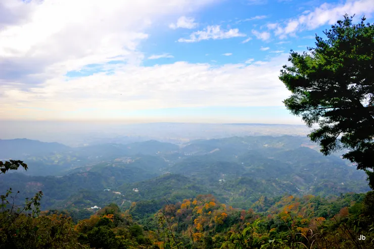 景色不如預期枉費登峰！雲海已散，四週有些朦朧。