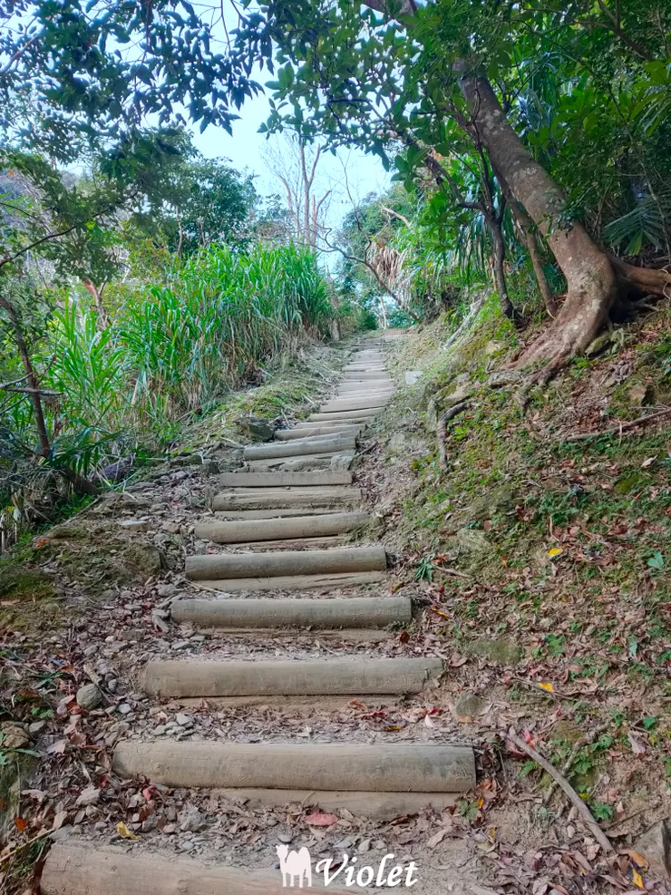 錐麓古道上山途中