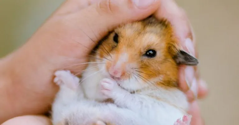 my bests 好物推薦