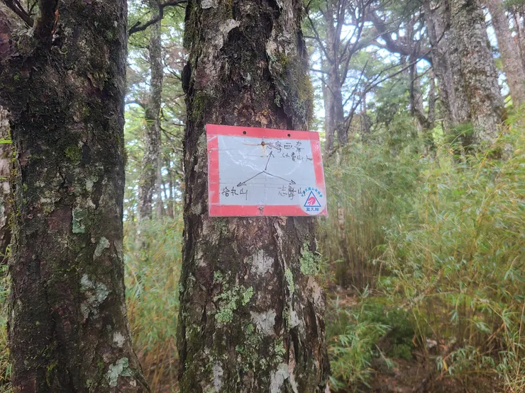 準備往返志摩山西峰