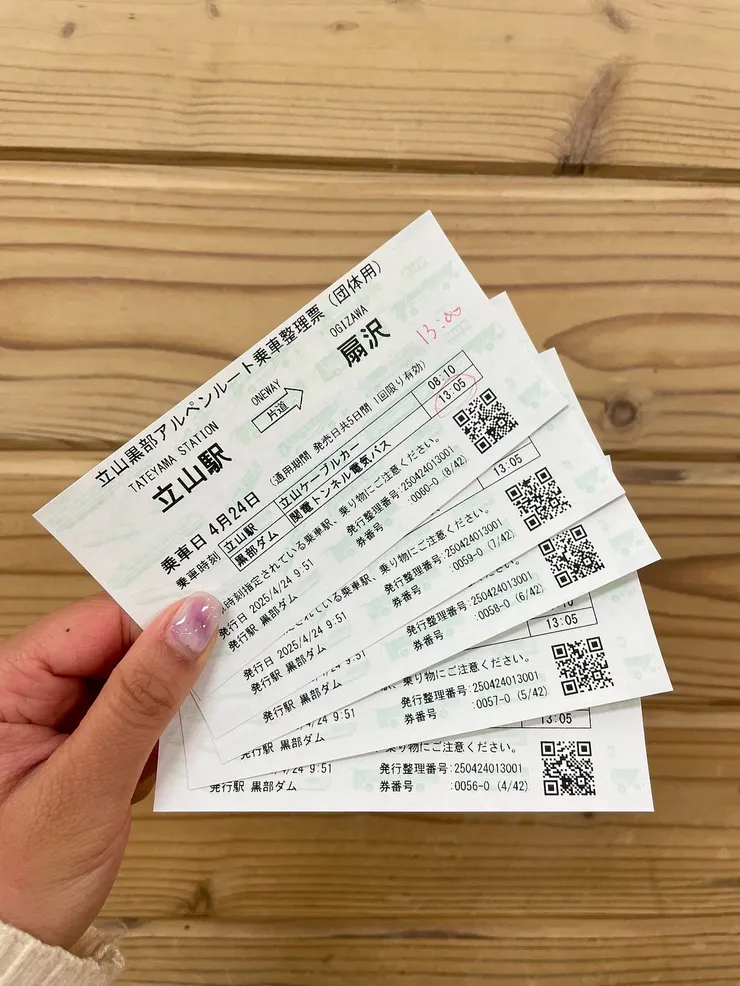 「立山站 → 扇澤」的單程票