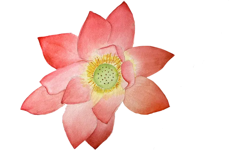 圖 YHCC@水彩練習W28, FEB2023, 25x25cm