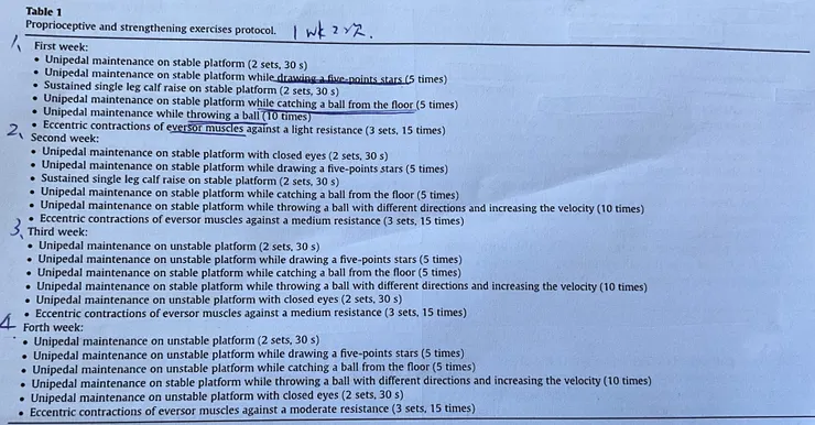 本體感覺與肌力訓練課表