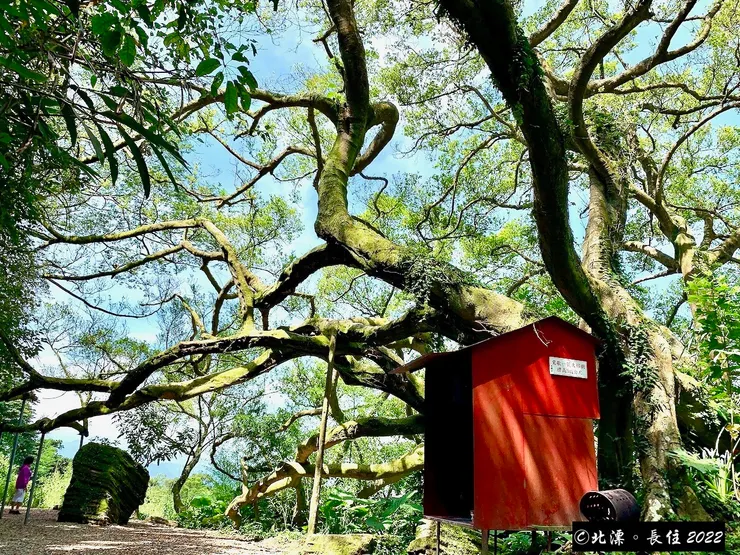 北漂。長住。福源山