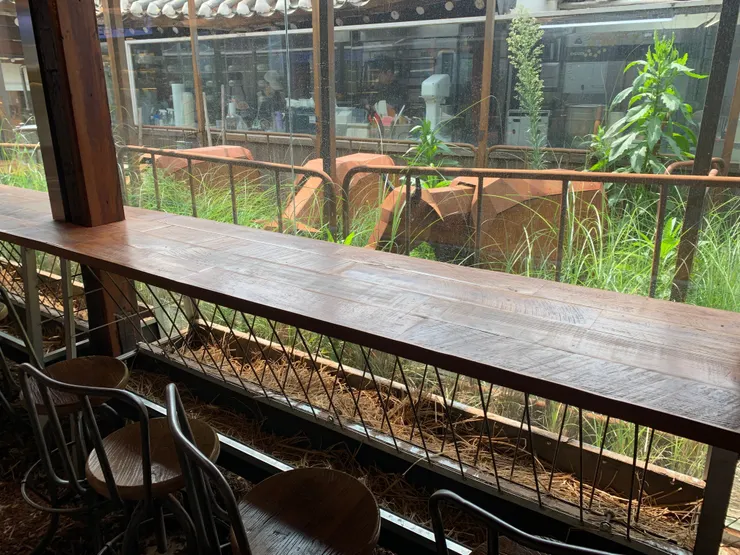 邊吃邊看牛？其實我在看對面的工作人員。