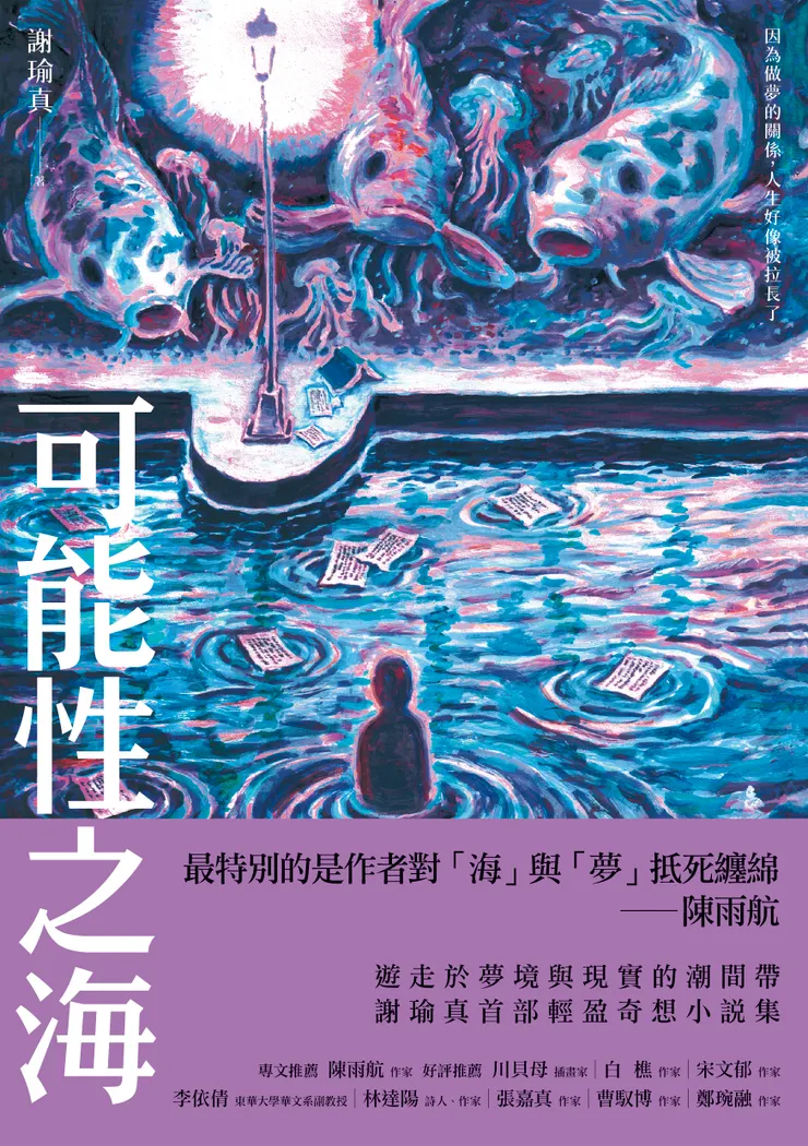 《可能性之海》書封