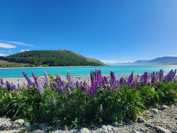 昨天走過的小徑，不一樣的體會