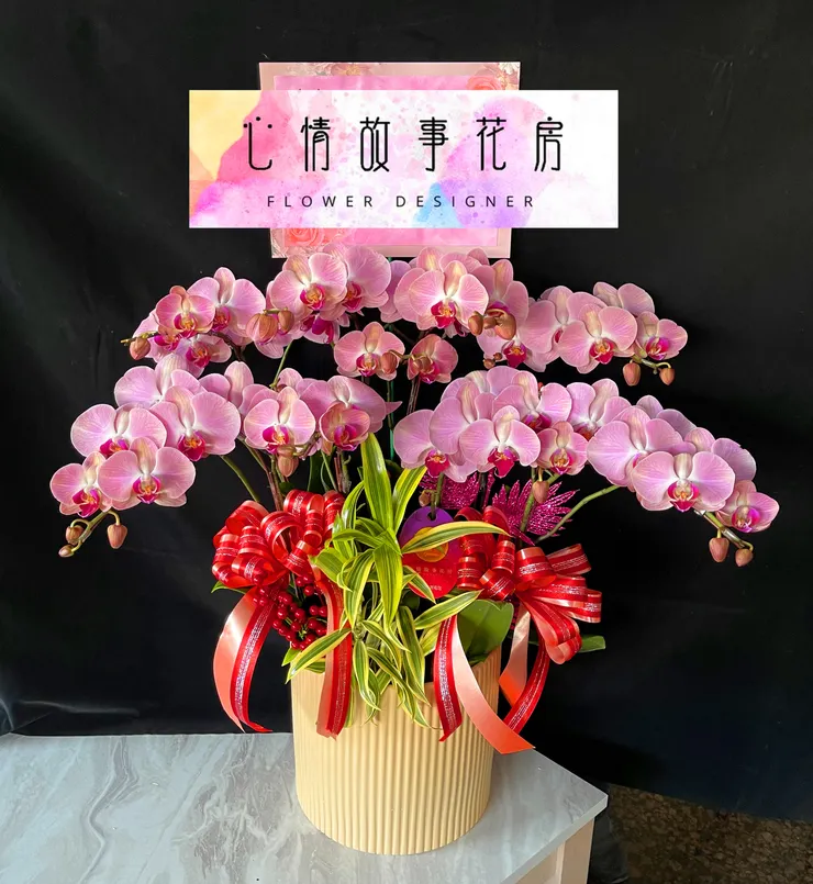 台南最推薦花店|心情故事花房陪您迎接蛇年,蘭花盆栽添喜氣,公家機關、銀行、醫院一致首選!