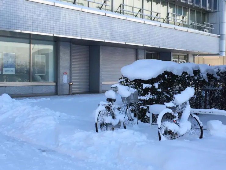 白雪覆蓋的街道上