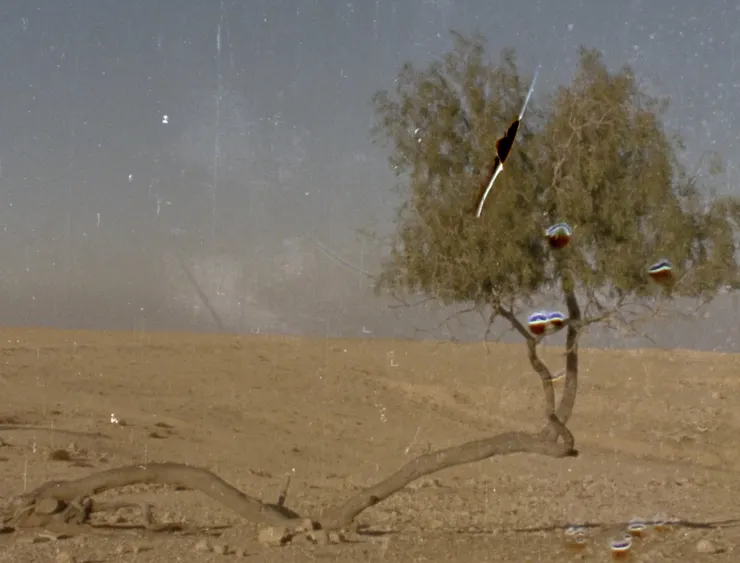 《暴風中的無名風景（致香妲・艾克曼的兩封信）》劇照／女性影展提供