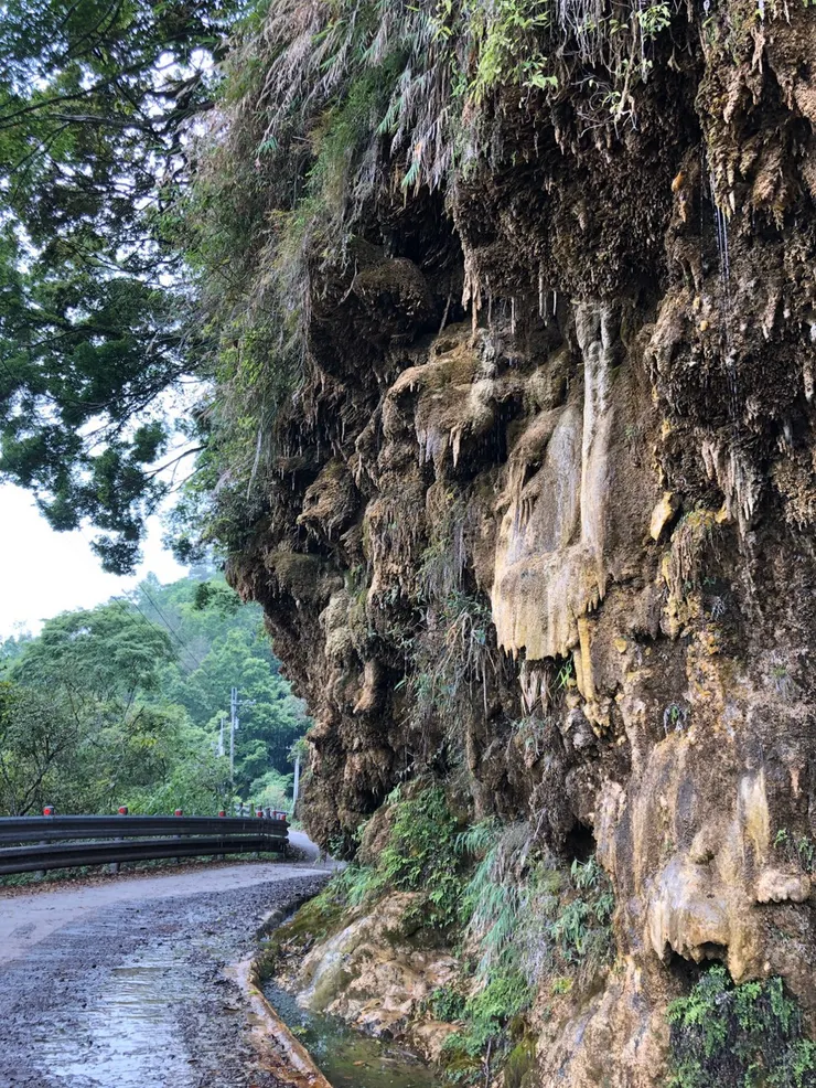 南投武界的萬年鐘乳石壁