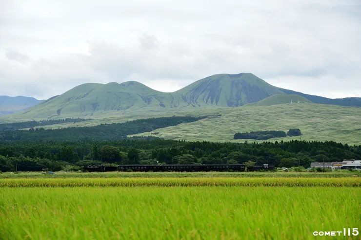 廣袤的草原是阿蘇山最經典的自然大景