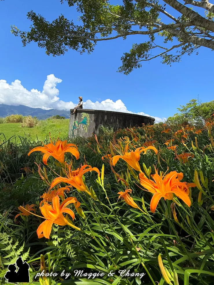 金黃色的金針花在前景綻放，宛如鋪滿山坡的金色波浪，鮮明而耀眼。花田後方，一座彩繪水塔靜靜矗立，繽紛的色彩替這片金黃增添了一抹俏皮的亮點。水塔上有人坐著或倚靠，與遼闊的花海相映成趣，彷彿成為畫面裡的小小主角。這一幕不只是花田的壯麗，更有生活與人文的溫度。