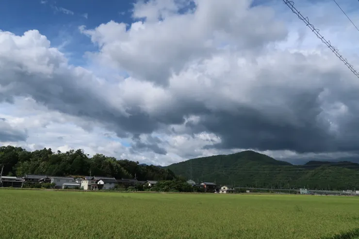 再次漫步滋賀的鄉郊。