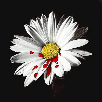 舊部落格：Write, write