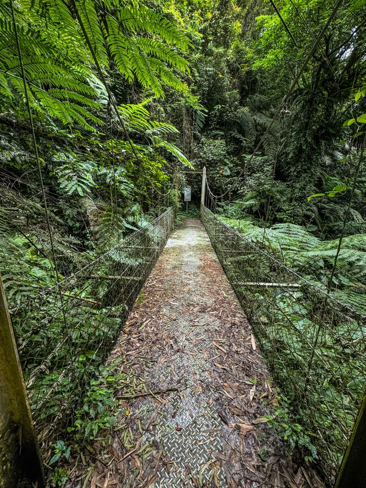 鐵板橋太Q彈了,走過的時候上下跳動很有趣!🤭