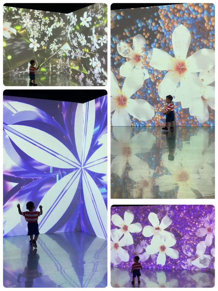 令人驚豔的光影效果