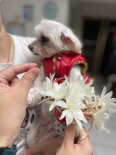 找動物溝通師時 我問過的傻問題