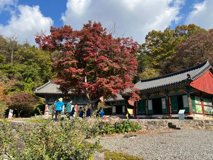 這次導遊帶領遊玩的地方主要就是這三間廟，範圍不大