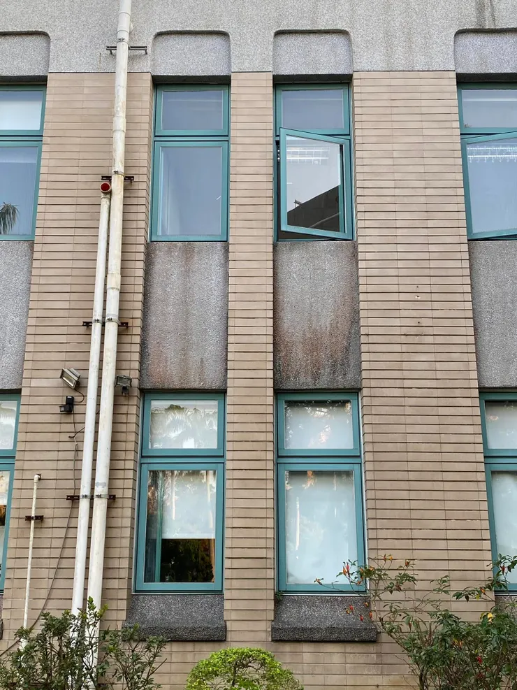 立面有兩兩一組的垂直塊狀面