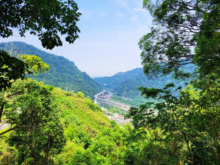 ▲步道林間空隙已隱約可眺望牛鬥峽谷