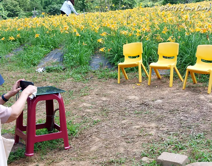 ▲2025花現台七「桃園繡球金針農遊趣」/ 圖片來源：Betty's Jump Diary