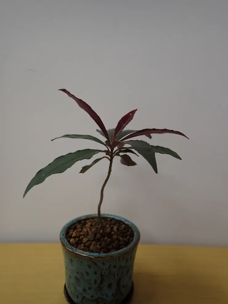 中山社大114.06.26