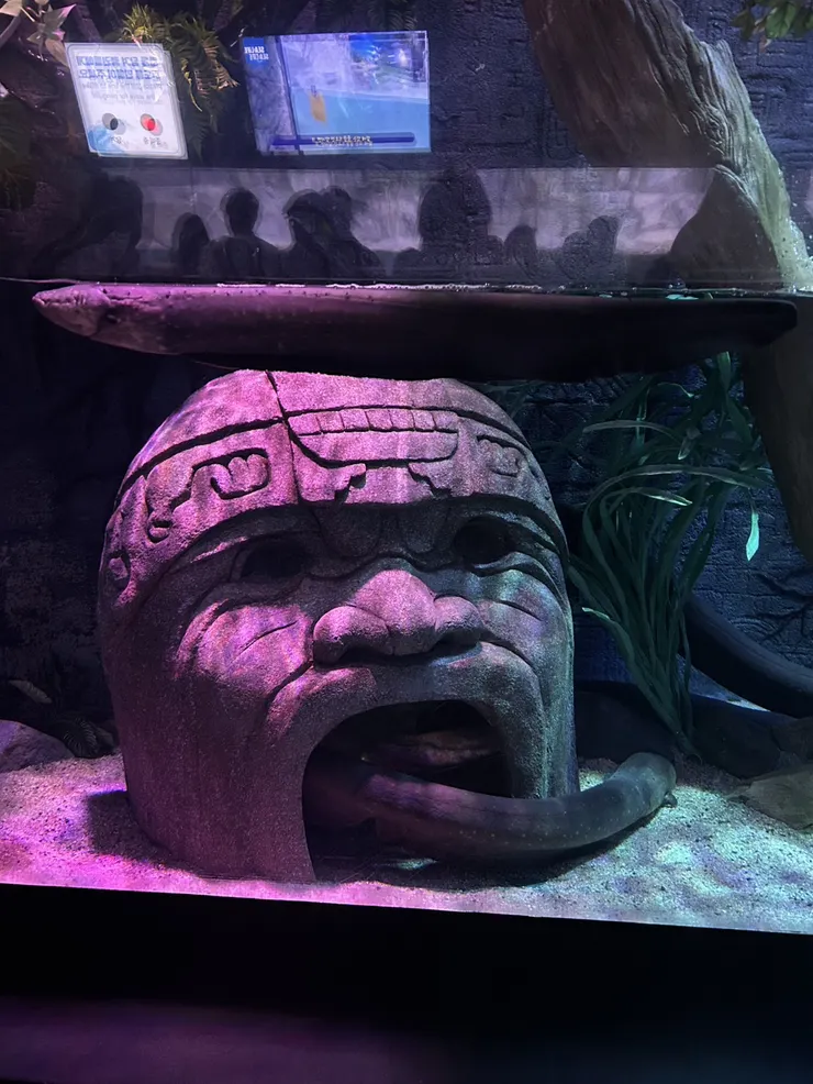 前半段走得像亞馬遜風格